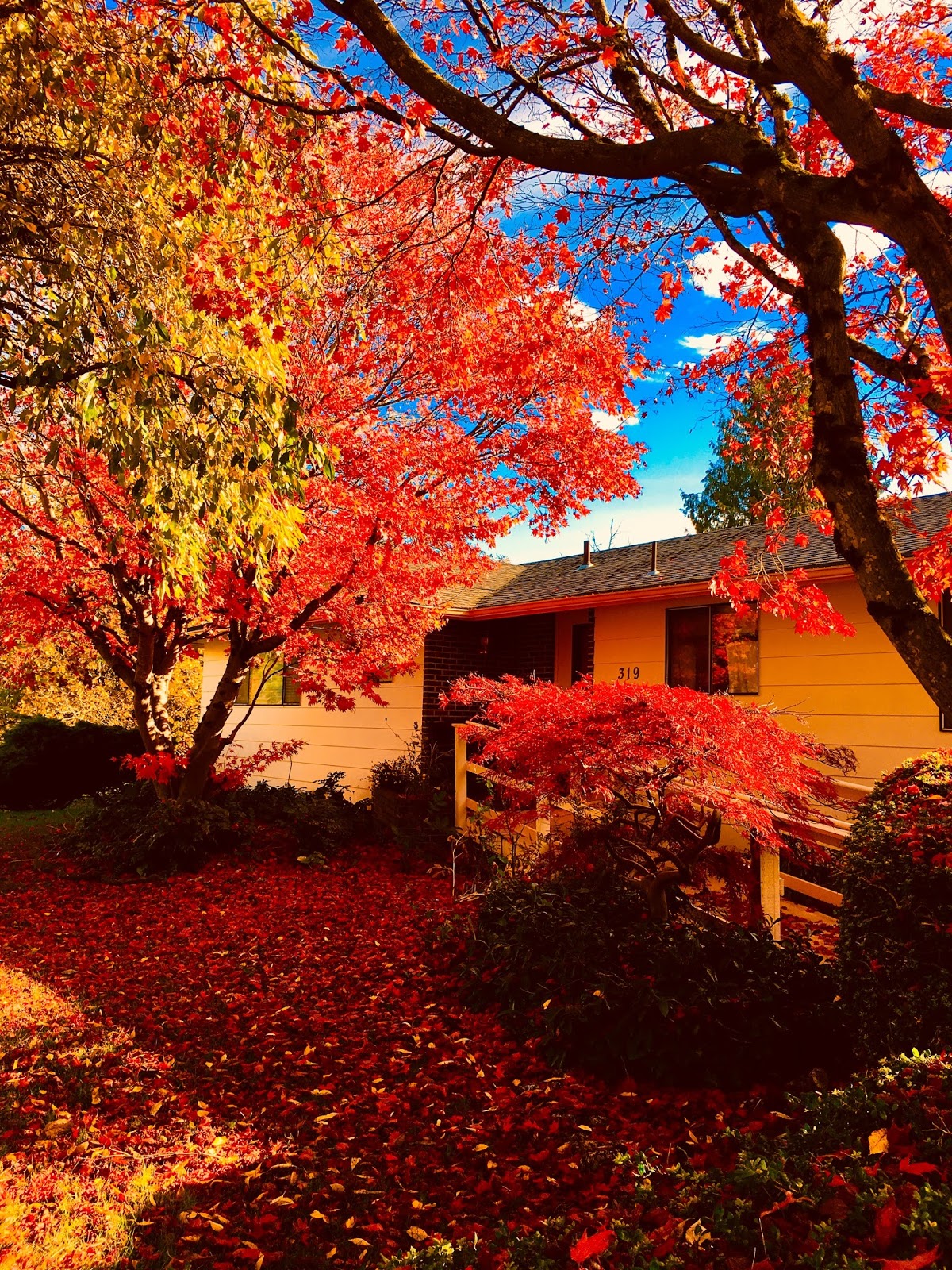 Maple Park Adult Family Home