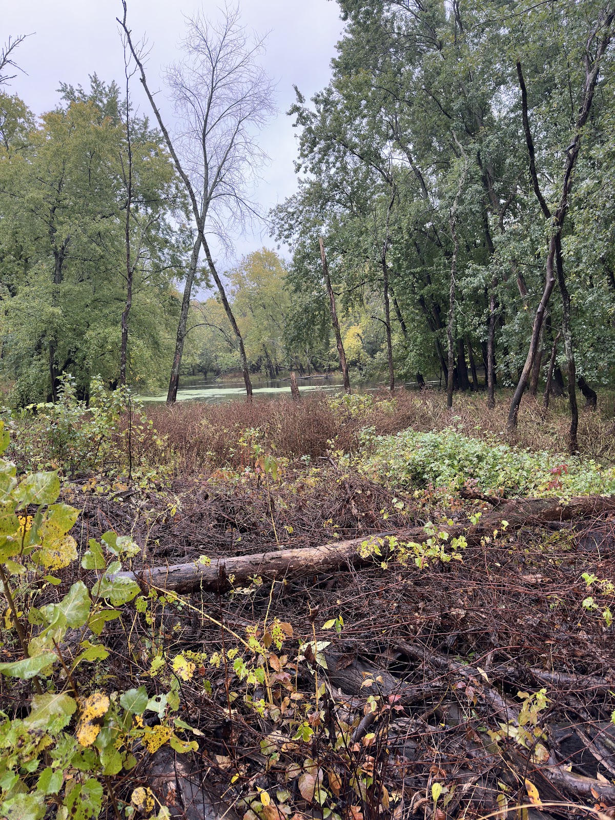 Brookdale at Home Hawthorn Lakes Vernon Hills