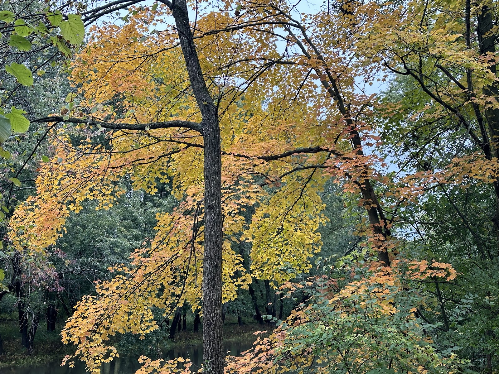 Brookdale at Home Hawthorn Lakes Vernon Hills