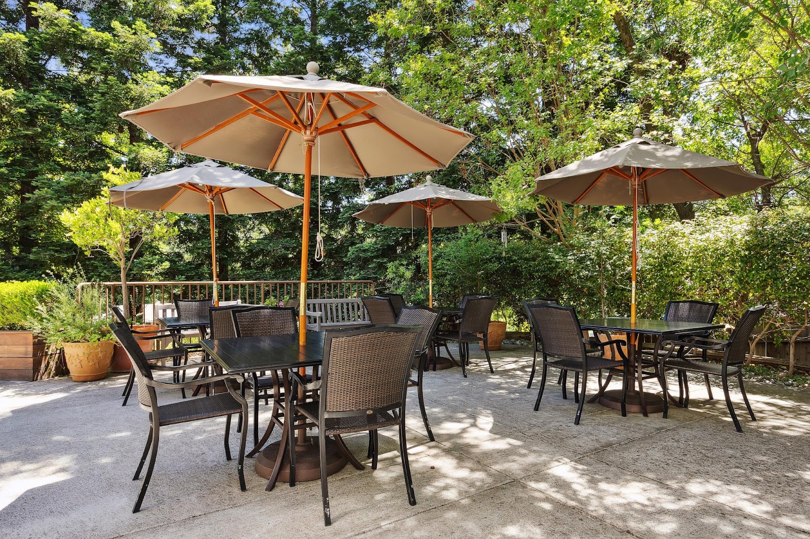 Tiffany Court of Walnut Creek