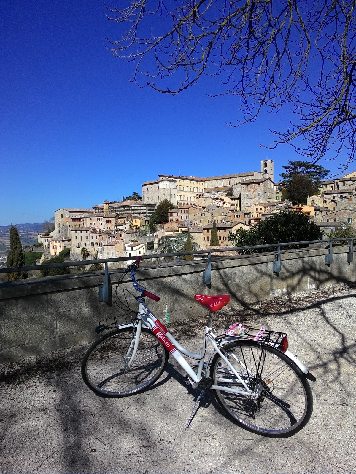 Gabetti Todi Real estate agency