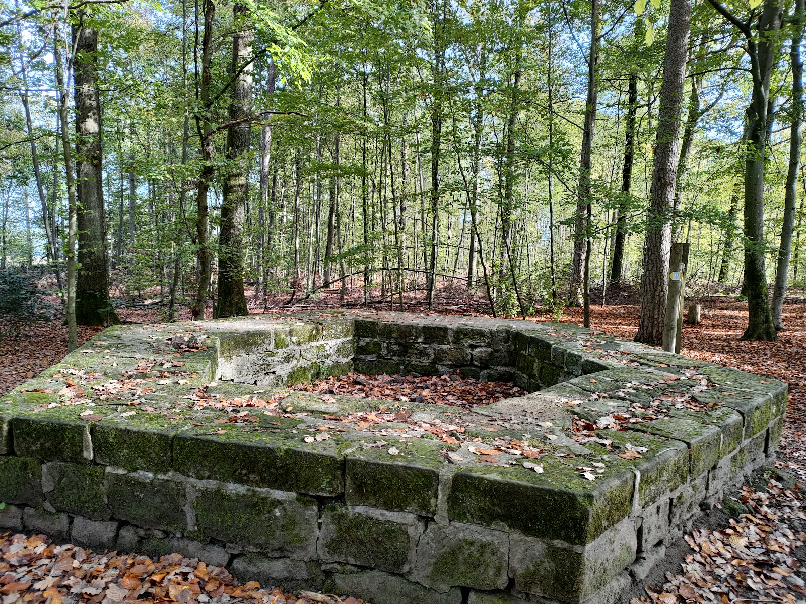 Limes Blick Pfedelbach-Gleichen