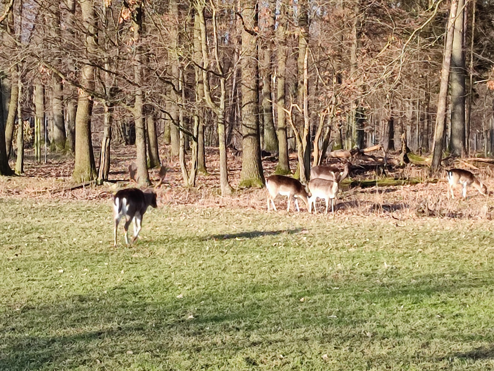 Limes Blick Pfedelbach-Gleichen