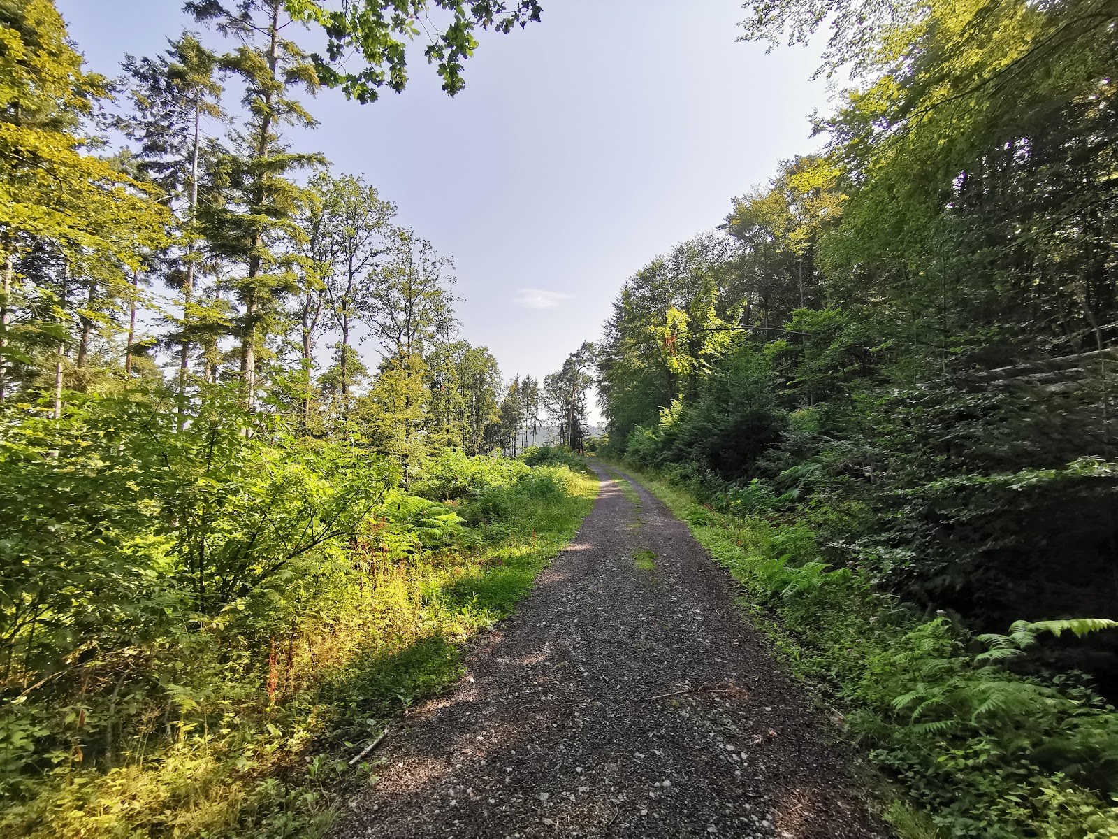 Limes Blick Pfedelbach-Gleichen