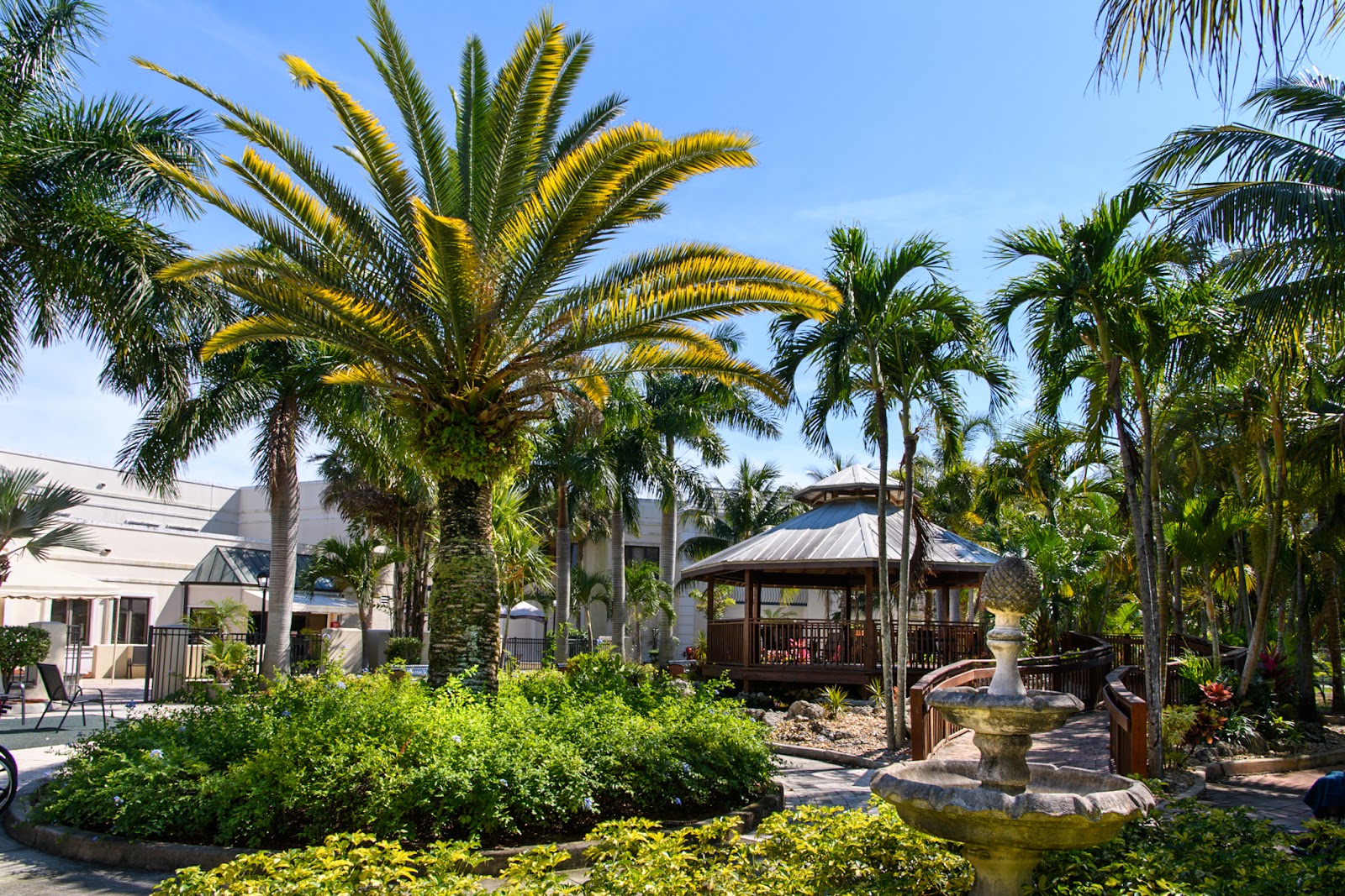The Encore at Boca Raton Rehabilitation and Nursing Center