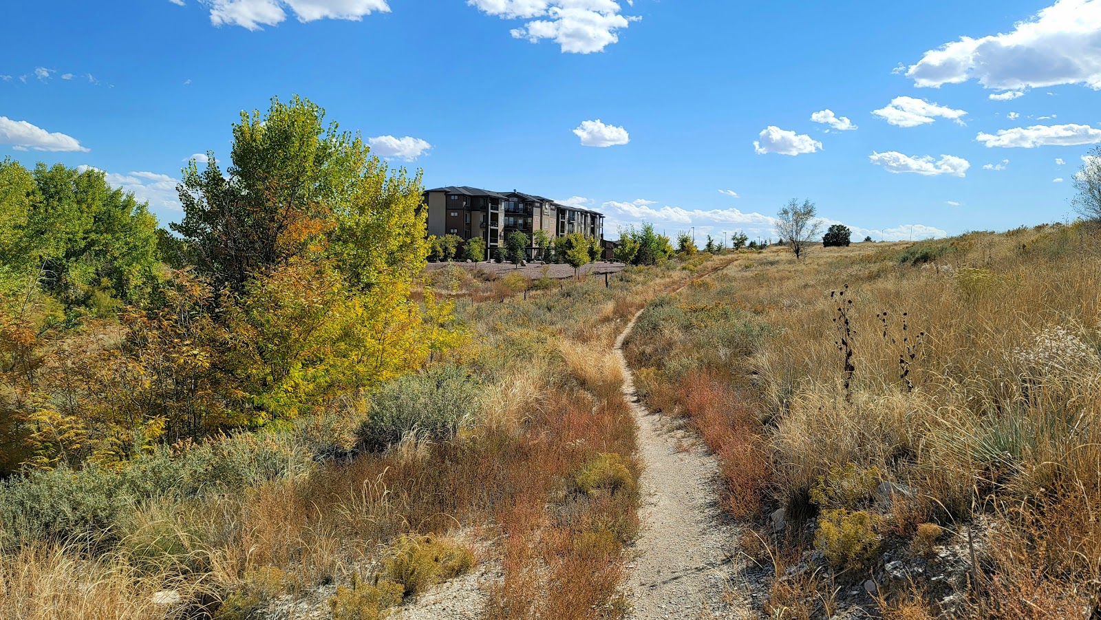 Bonaventure of Pueblo
