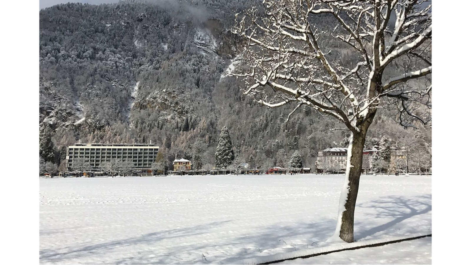 Hapimag Resort Interlaken