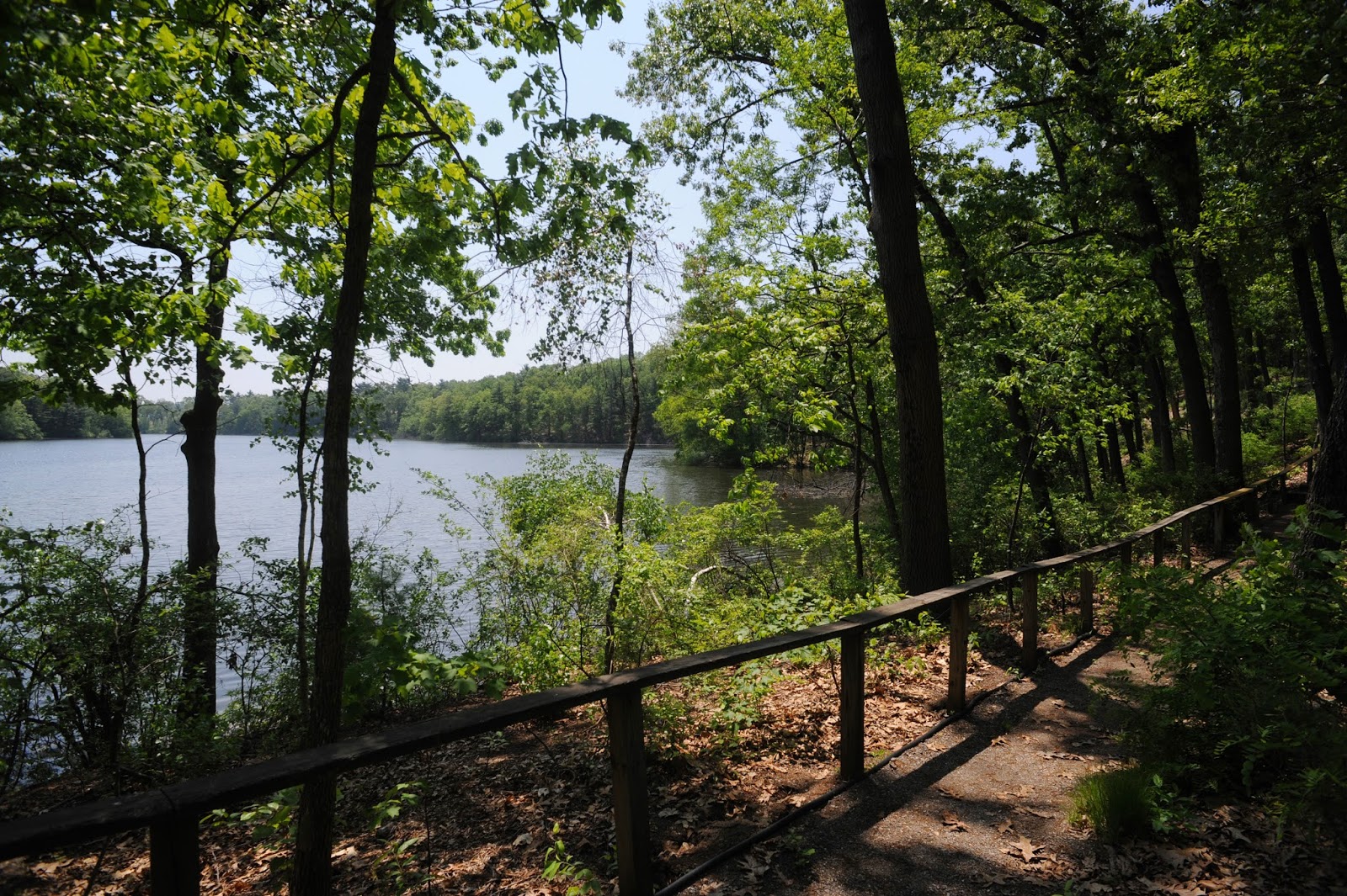 Loomis Lakeside at Reeds Landing in Springfield