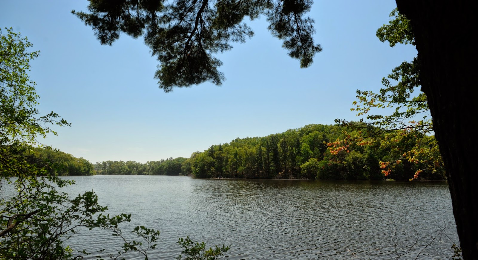 Loomis Lakeside at Reeds Landing in Springfield