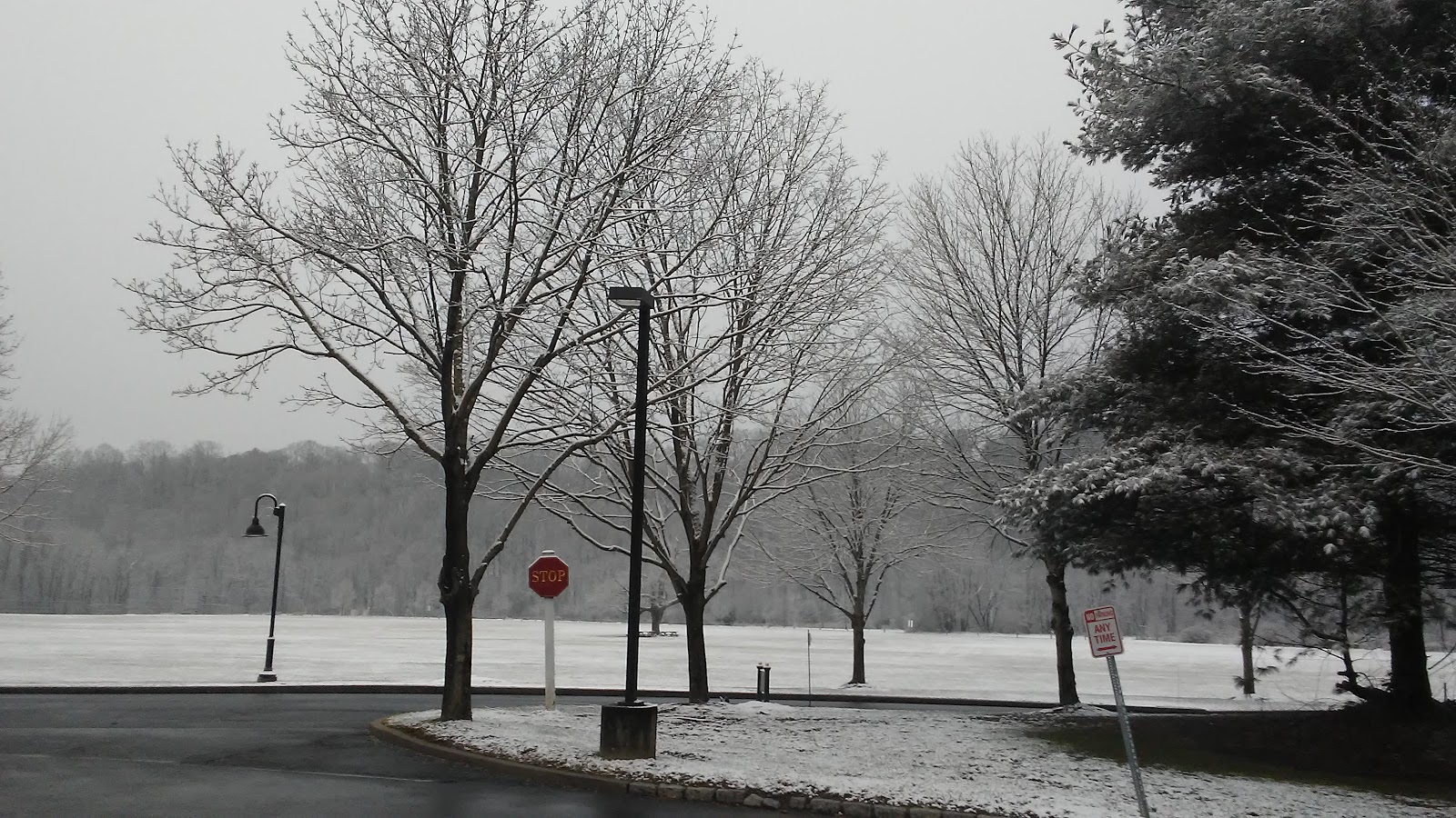 Wilton Meadows Nursing & Rehabilitation