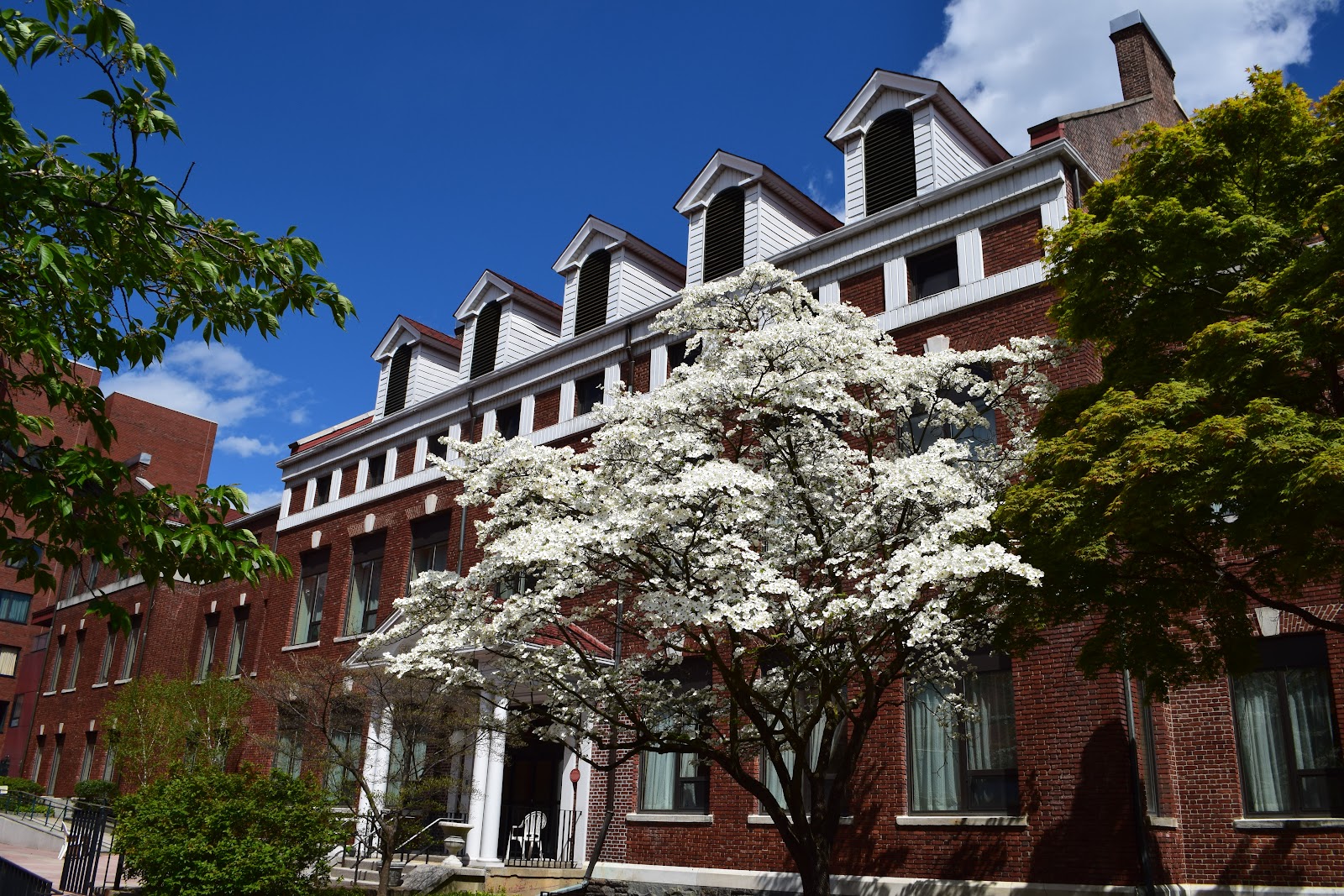 RiverSpring Assisted Living