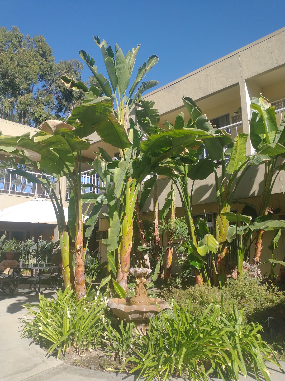 The Gardens at Park Balboa