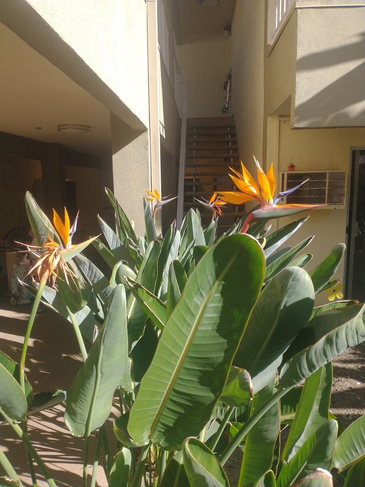 The Gardens at Park Balboa