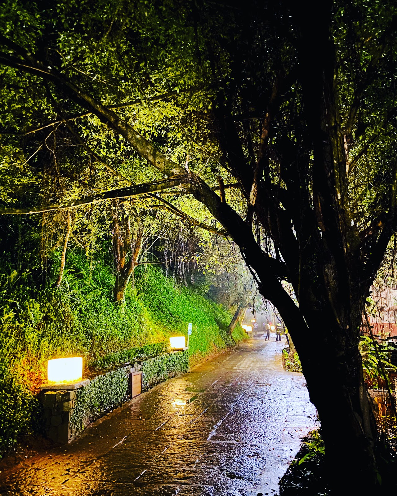 Club Mahindra Resort - Madikeri - Coorg, Karnataka