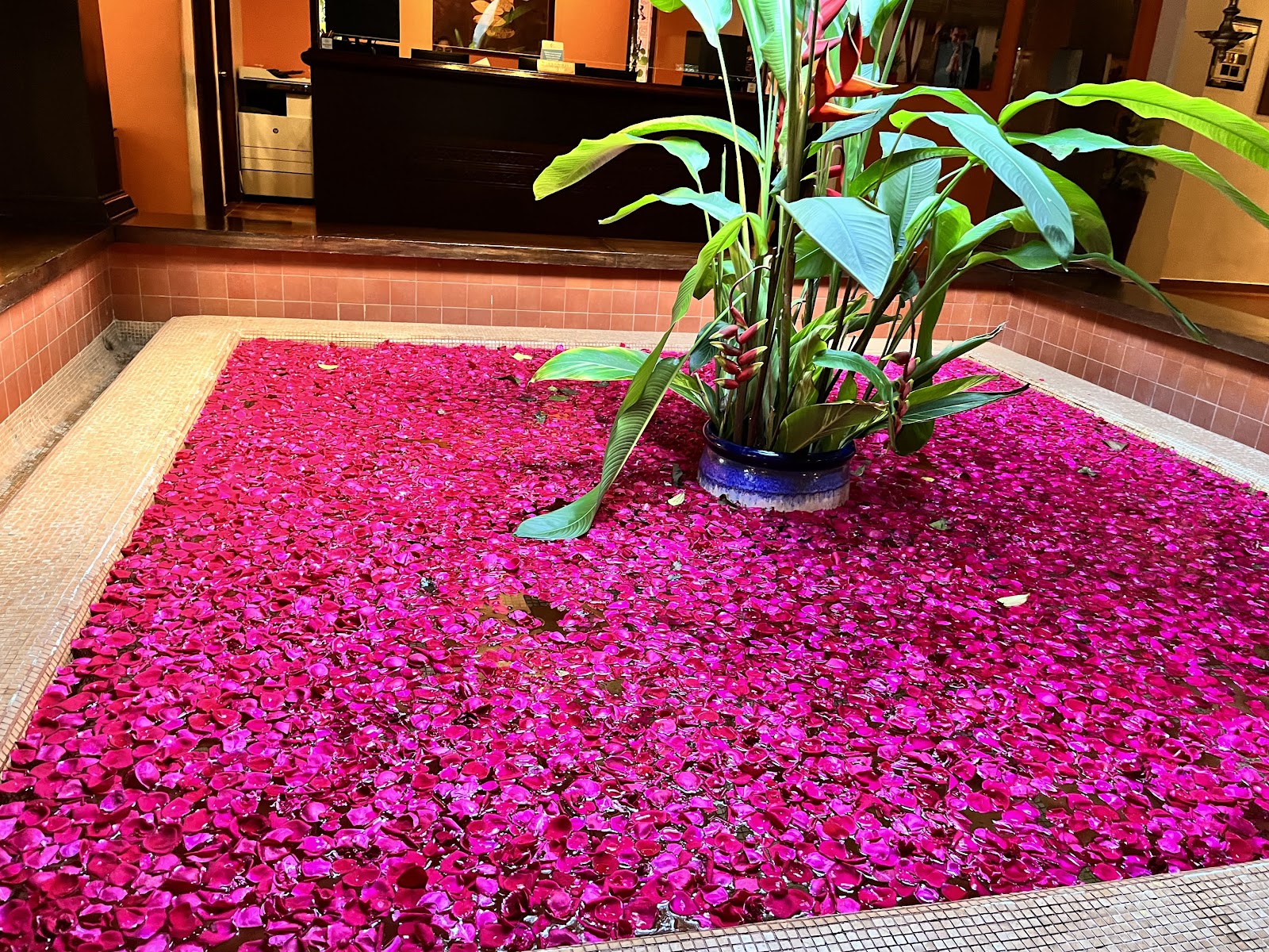Club Mahindra Resort - Madikeri - Coorg, Karnataka