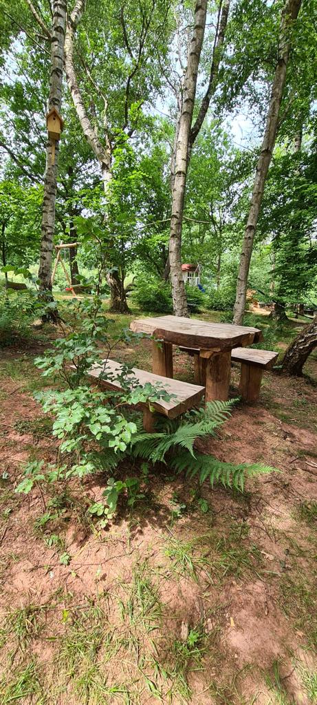 Pension Bergterrasse, Annweiler
