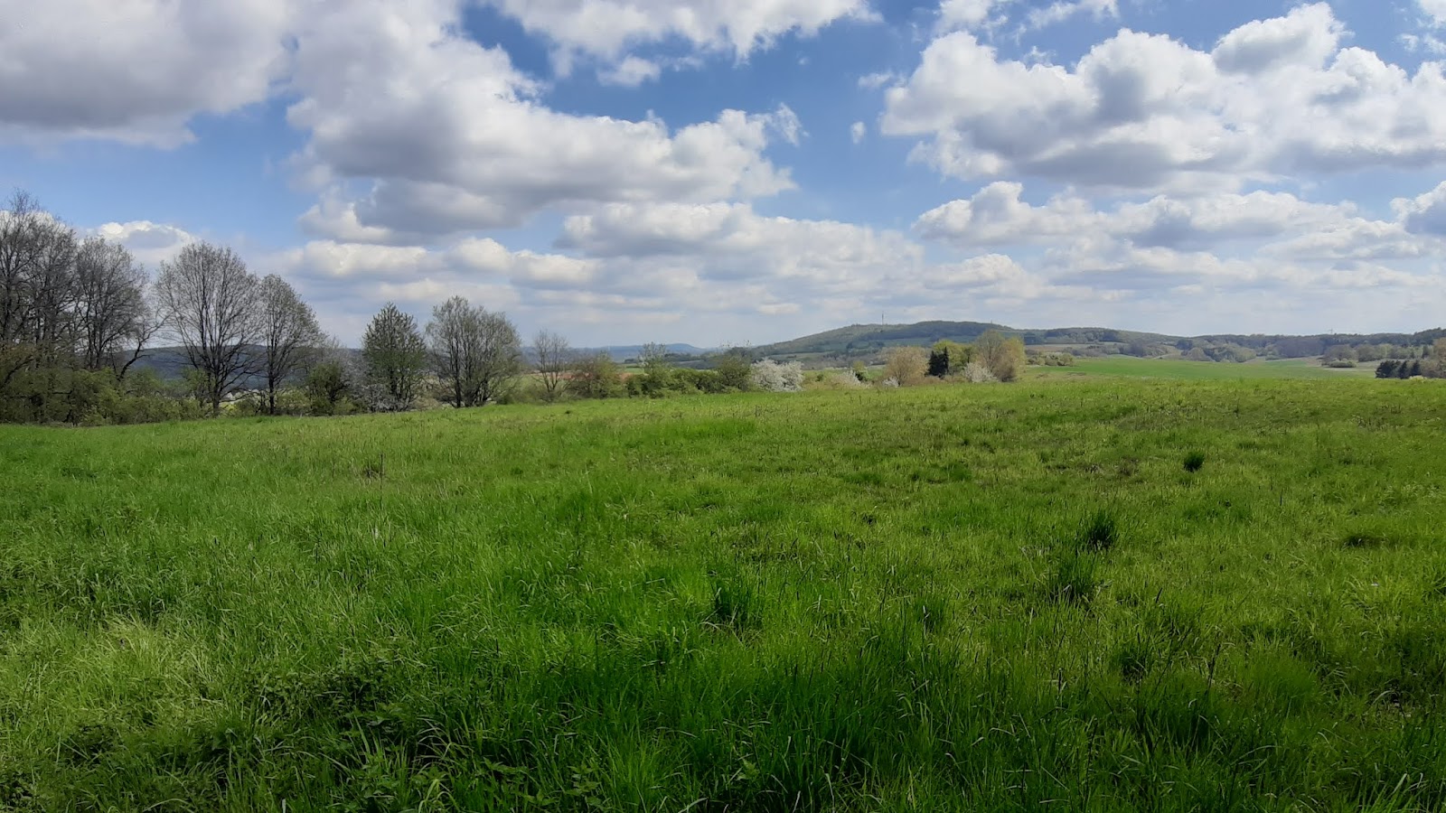 Senioren Waldhütte