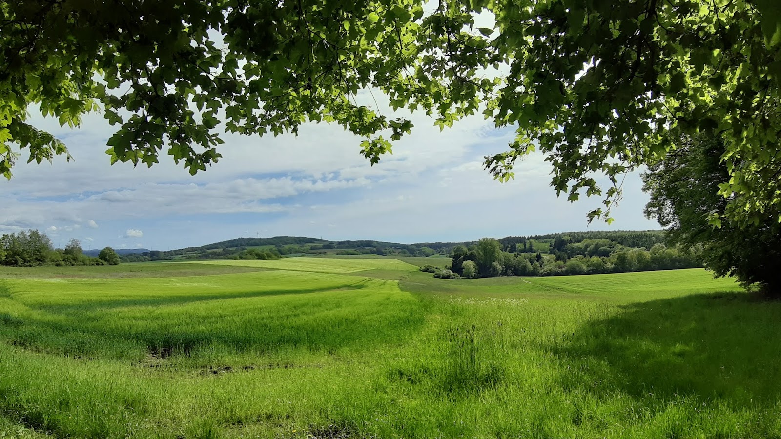 Senioren Waldhütte
