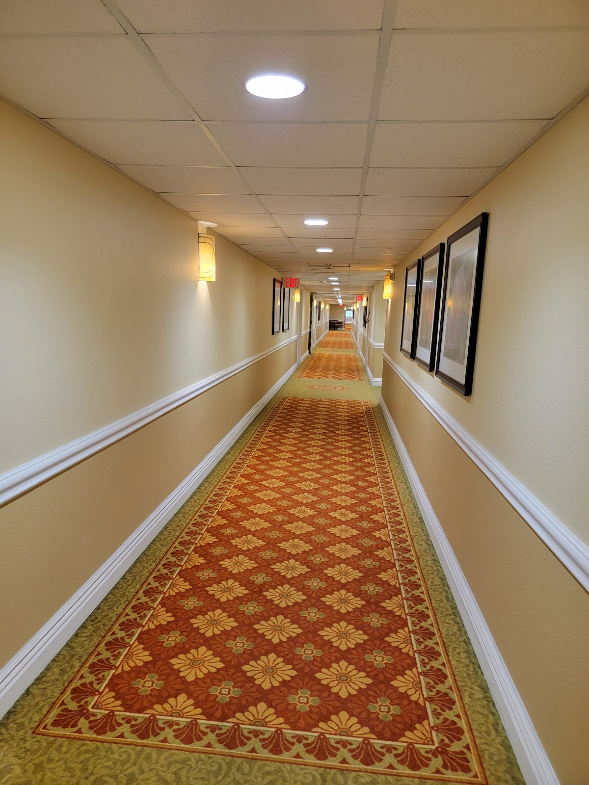 Elison Senior Living of Pinecrest