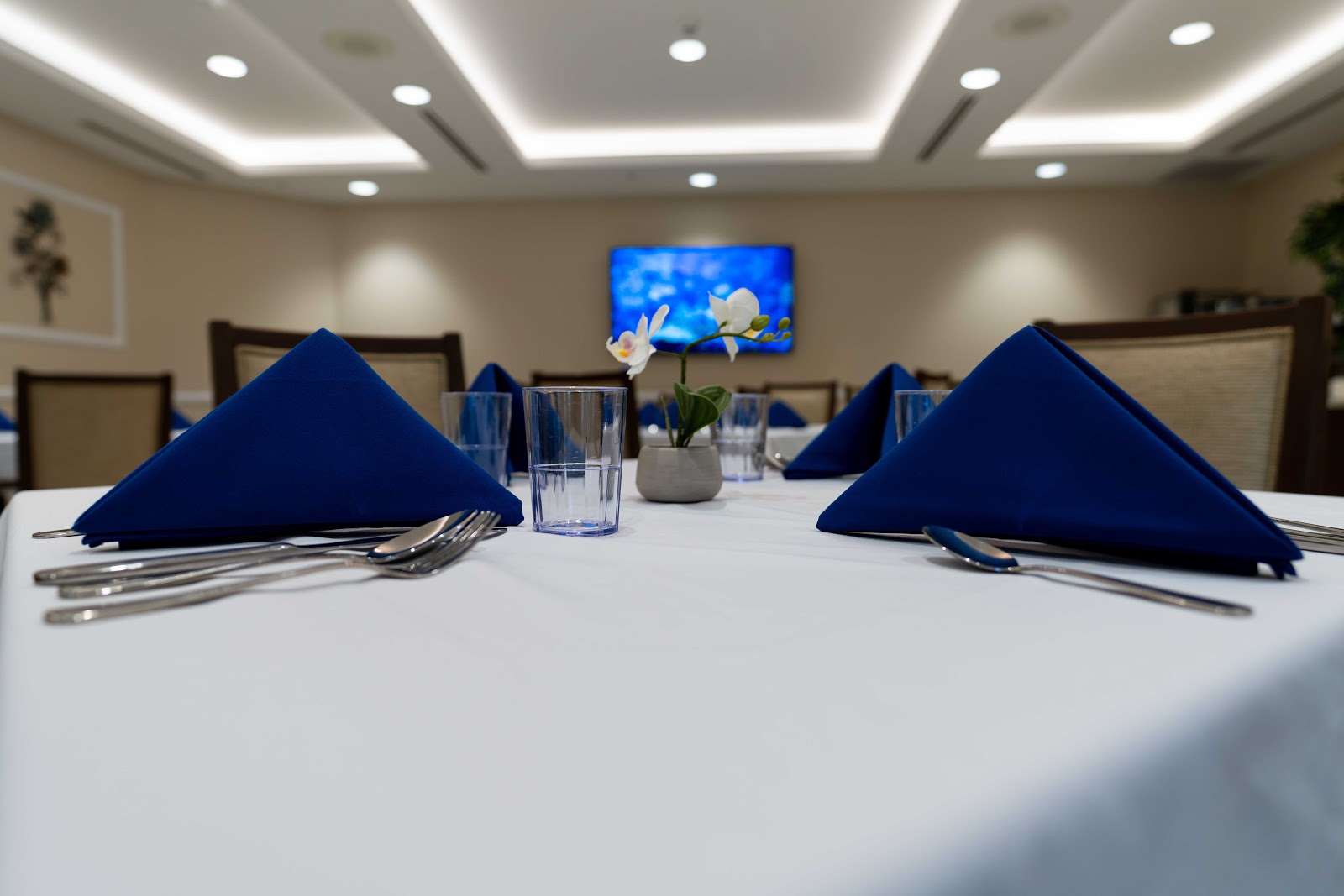 MiCasa Senior Living