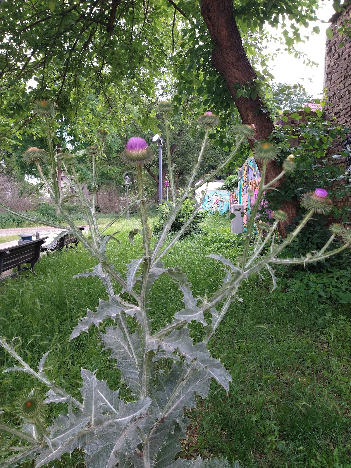 Alloheim Senioren-Residenz "Am Plauer Turm"