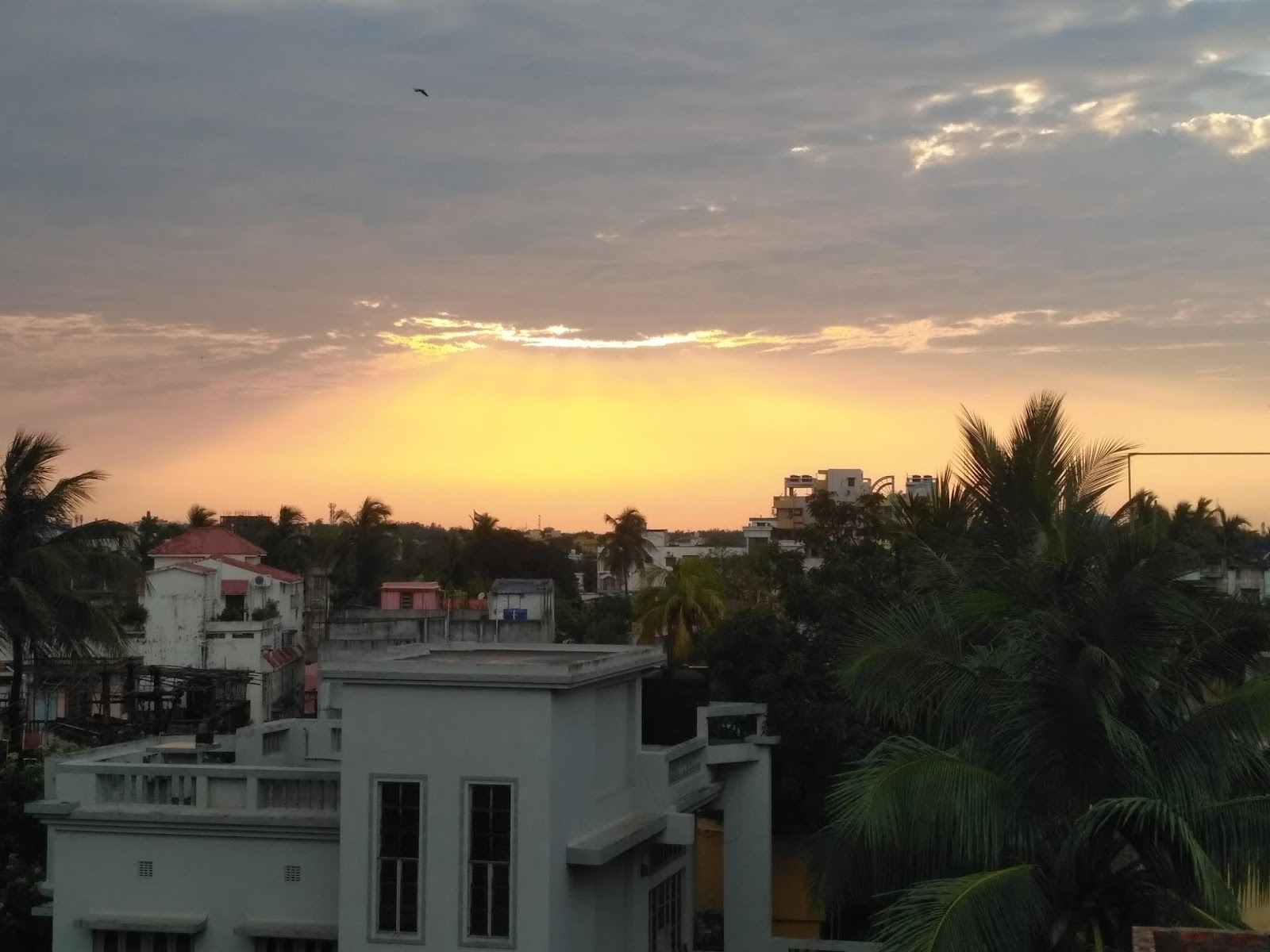 Midnapore (Dutta) Nursing Home