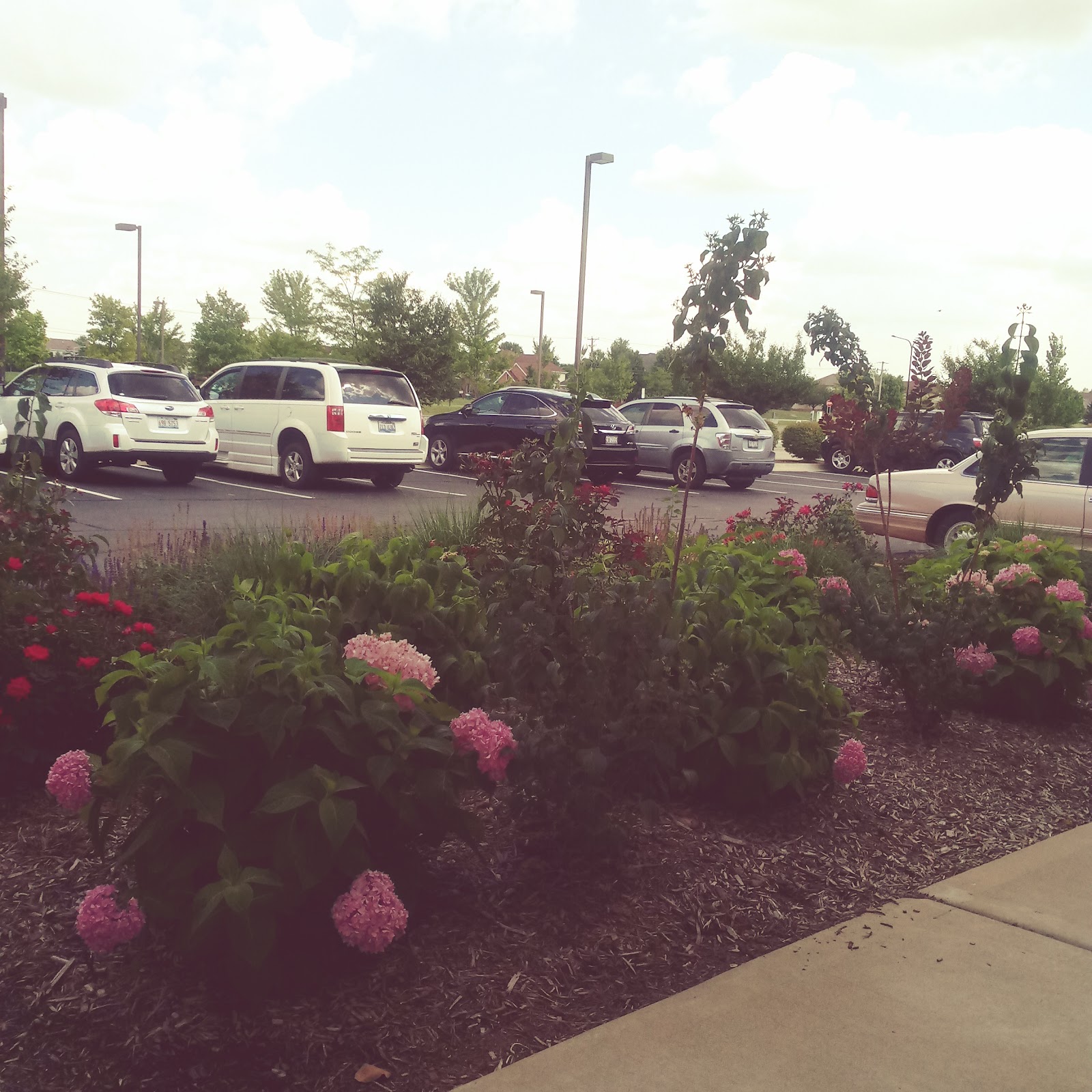Ciel at Plainfield