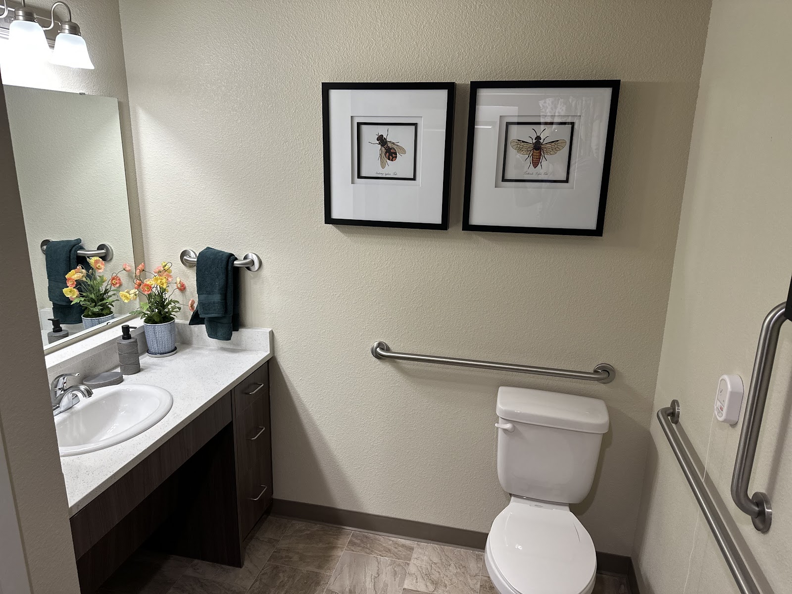 Timber Creek Senior Living