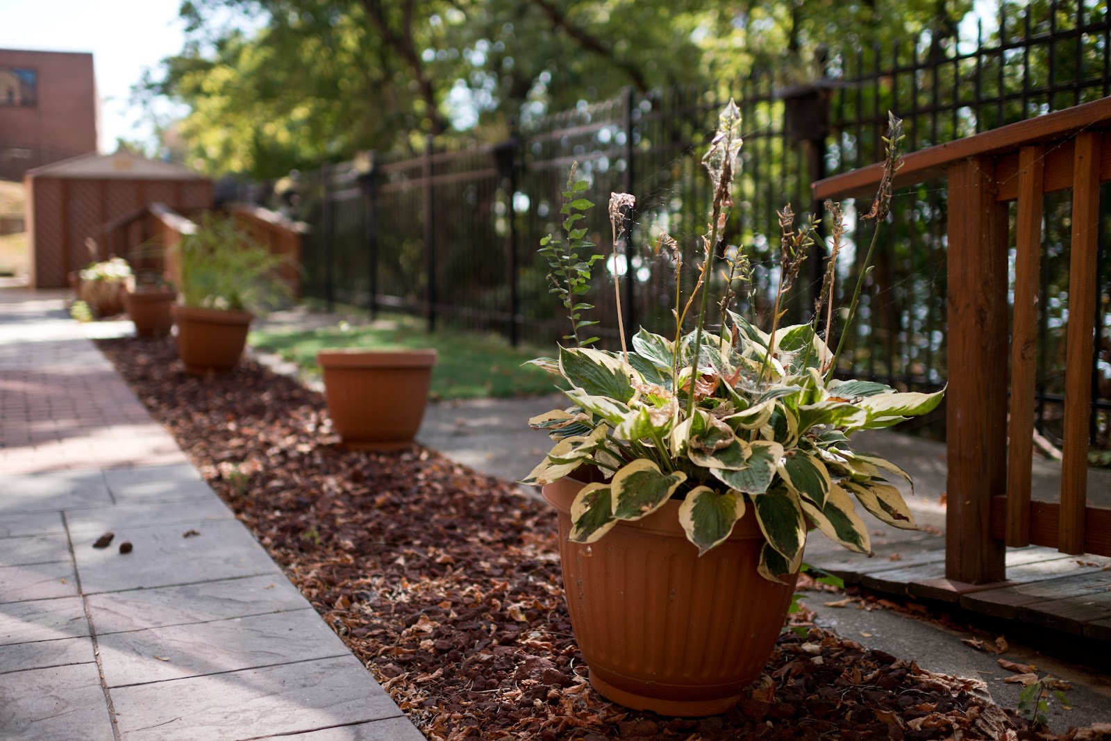 Autumn Lake Healthcare at Riverview