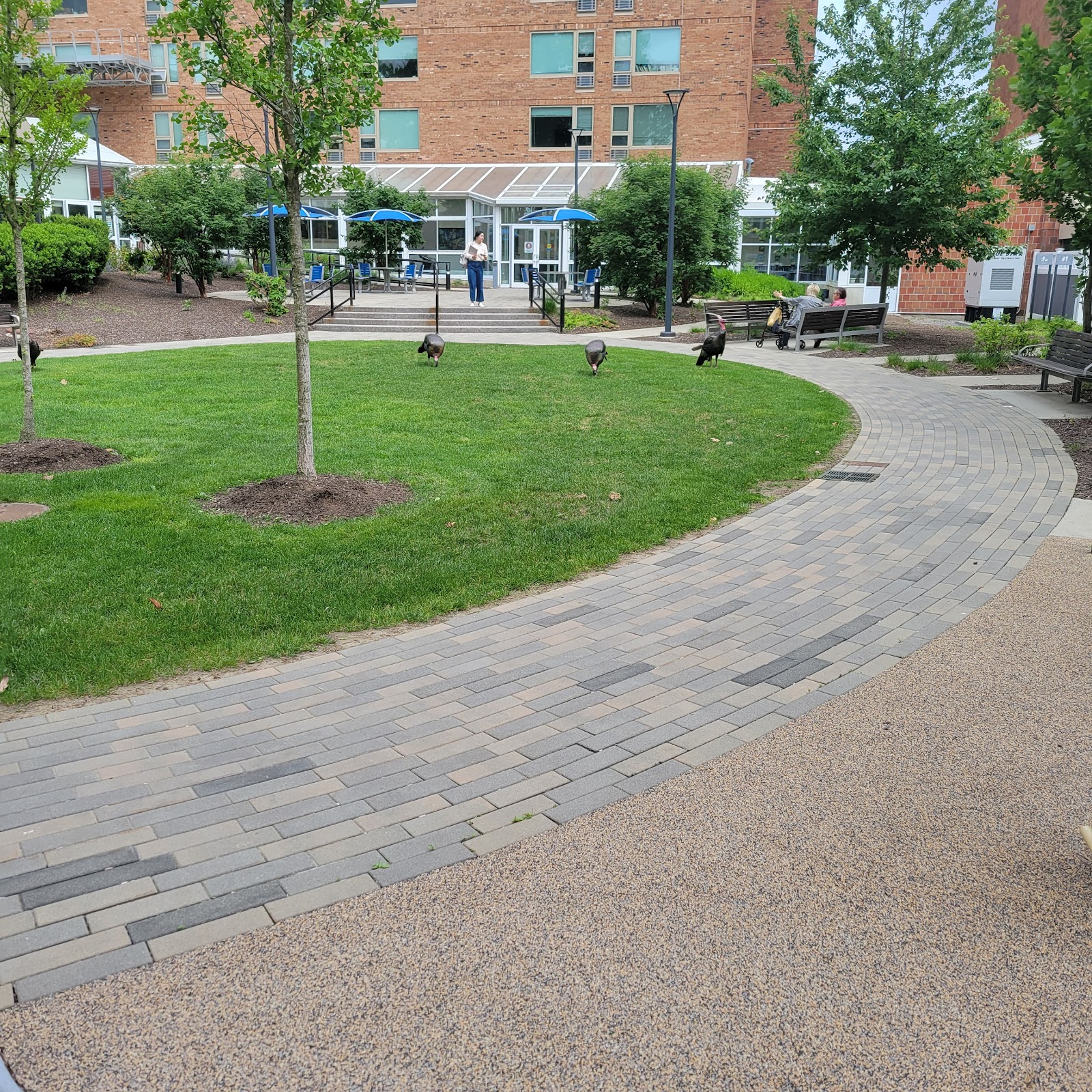Brighton Campus: A 2Life Community