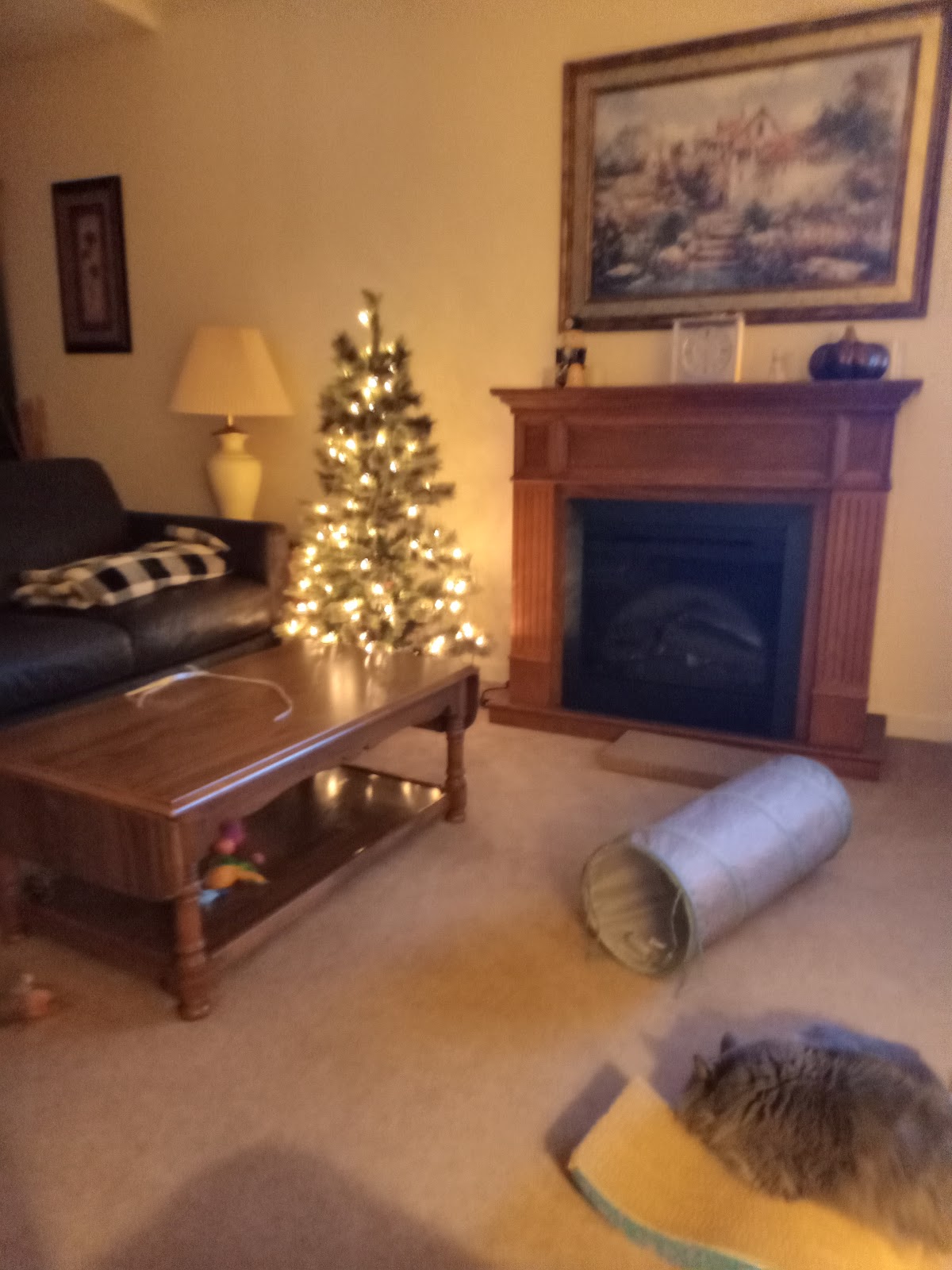 Lutheran SeniorLife Rehab Services