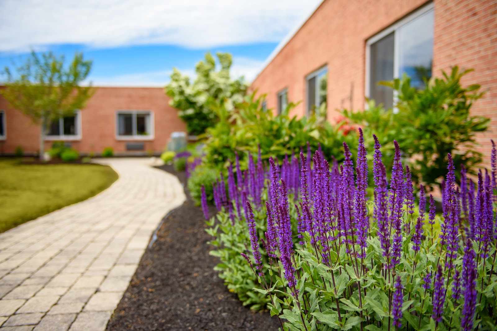 Life Care Center of Plymouth