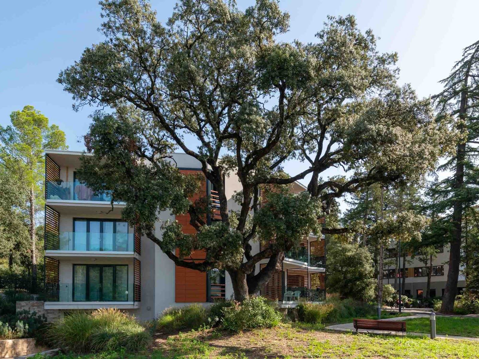 EMERA - Résidence Séniors Maisonnée Lavalette
