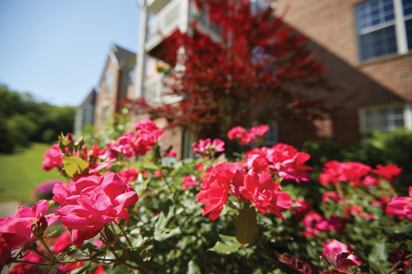 The Villas at St. Therese - Assisted Living