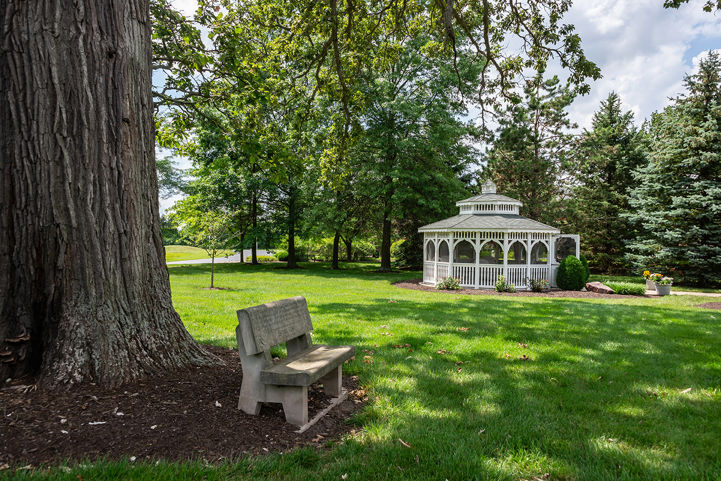 Majestic Care of Cedar Village