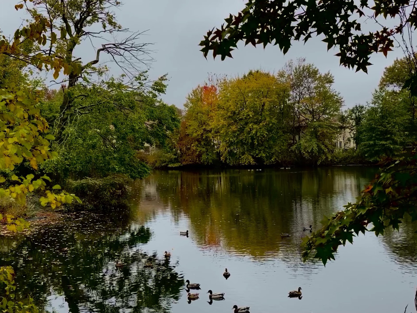 Brookdale Echelon Lake
