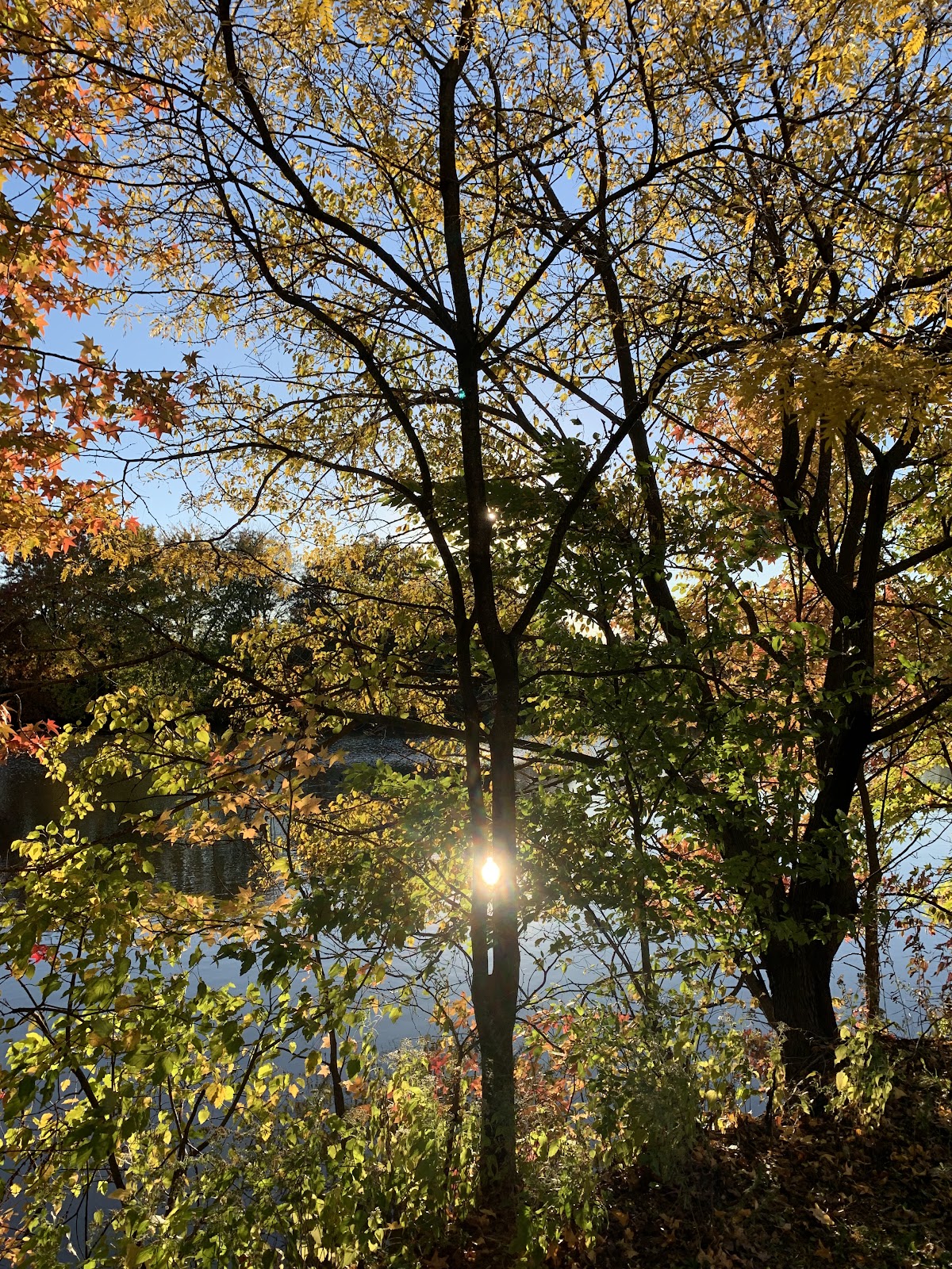 Brookdale Echelon Lake