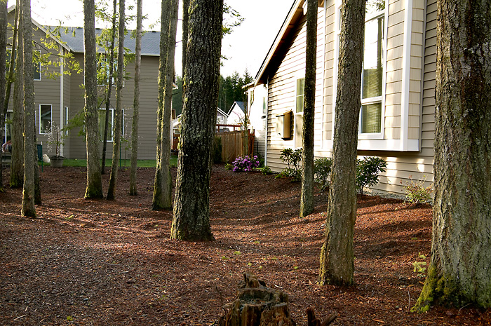 Fountain Court Senior Living