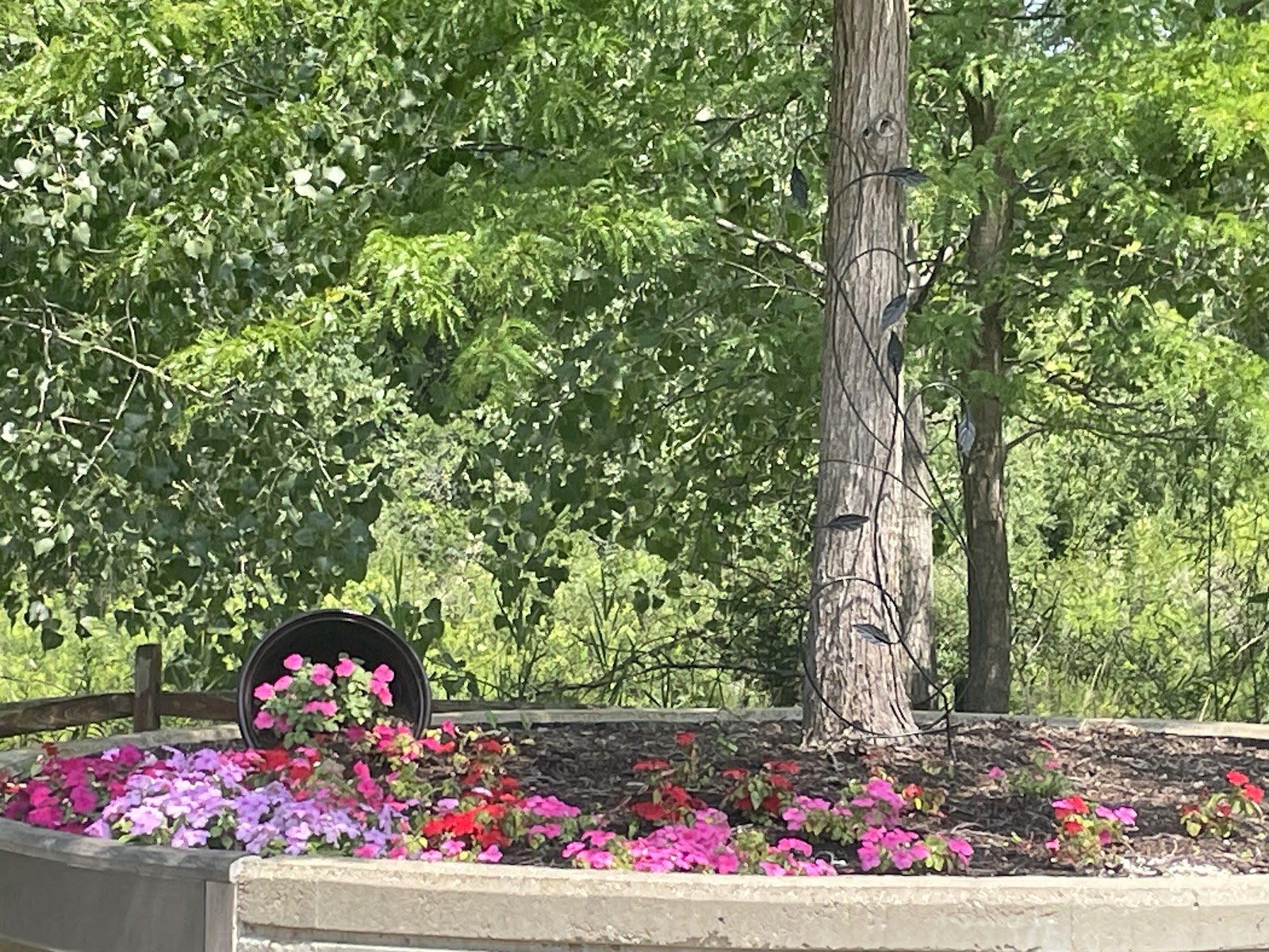 Tabor Hills Supportive Living