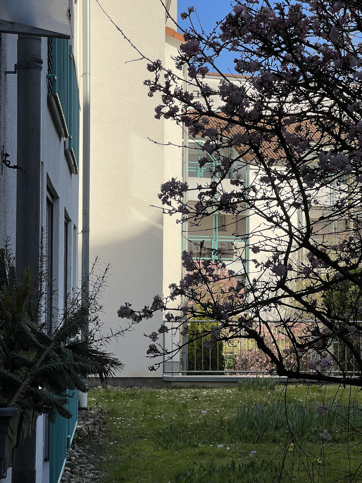 Senioren-Wohnanlage in Eigenheim