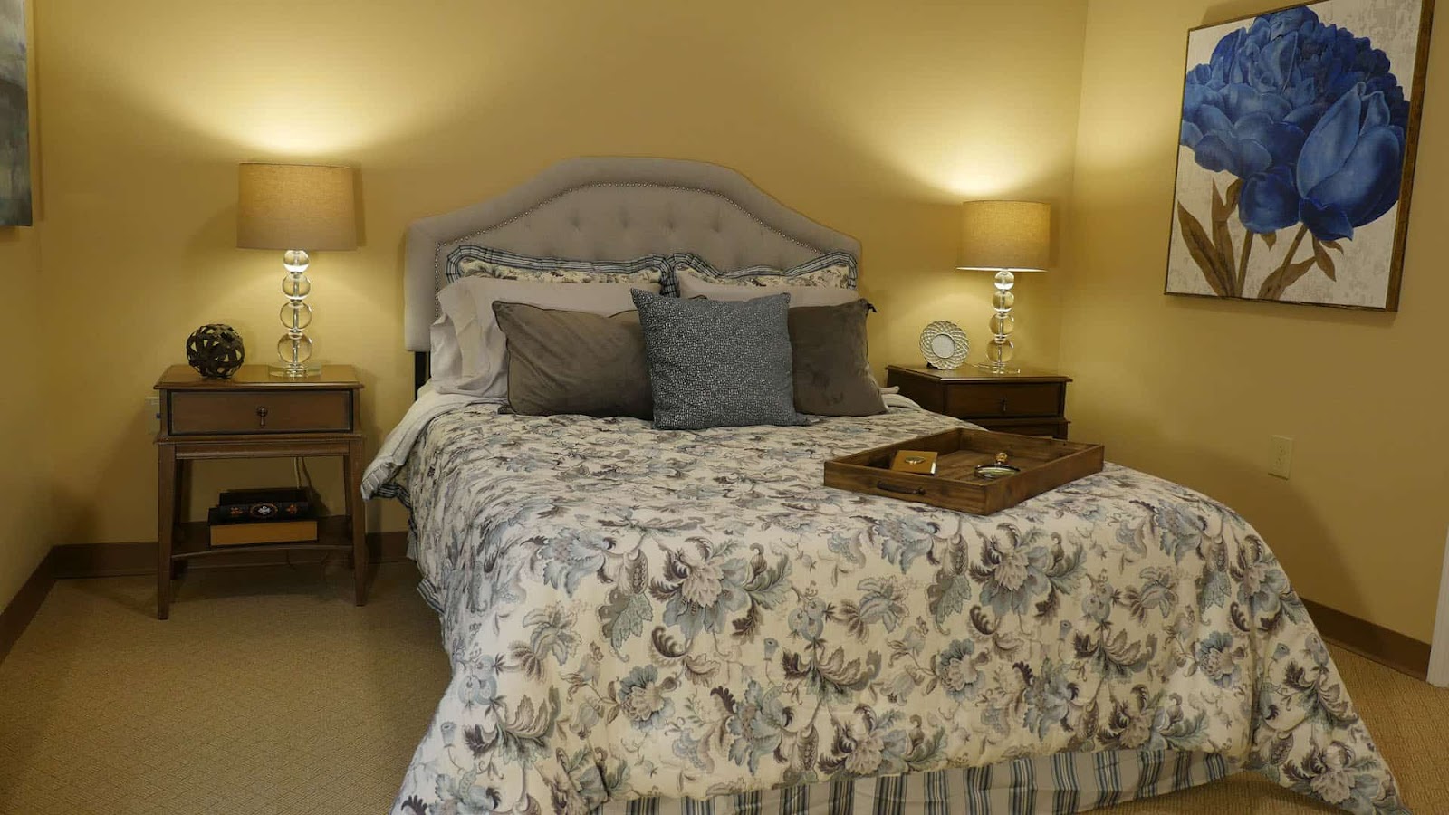 Vitality Living Spring Hill