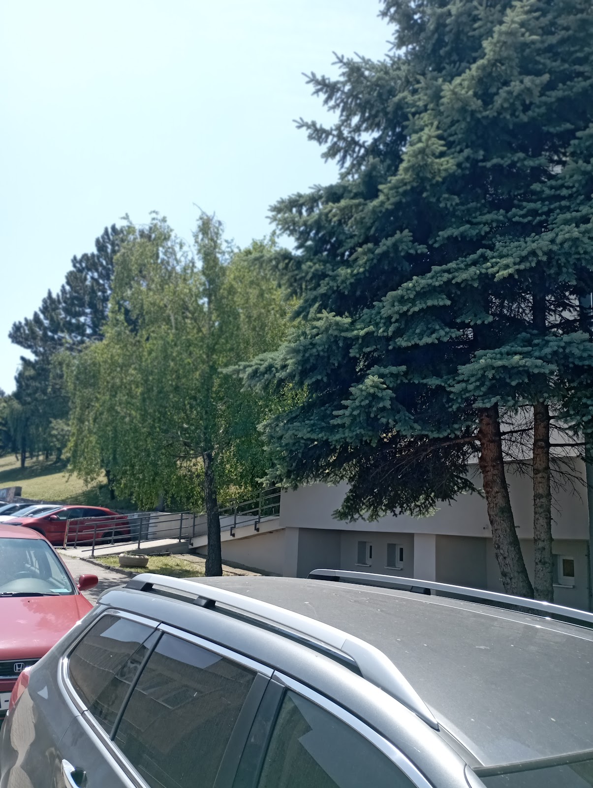 Domov jesene života