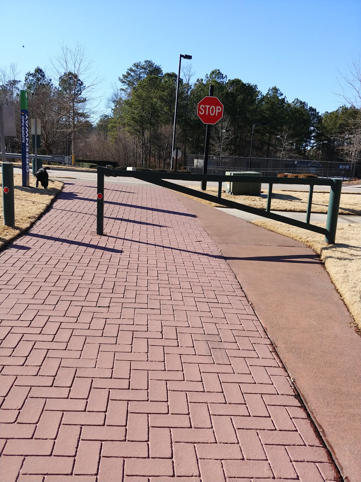 Carolina Preserve at Amberly