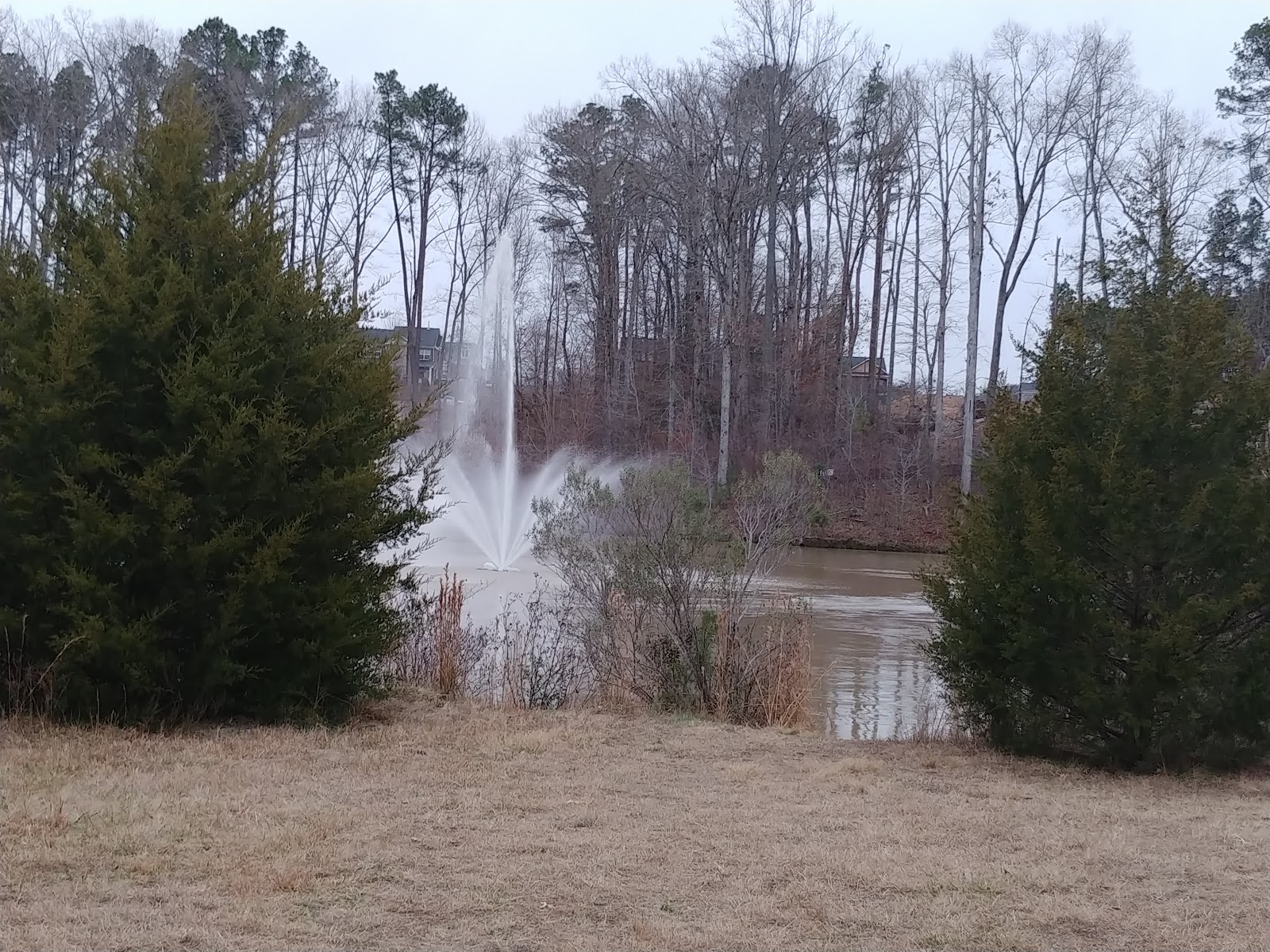 Carolina Preserve at Amberly