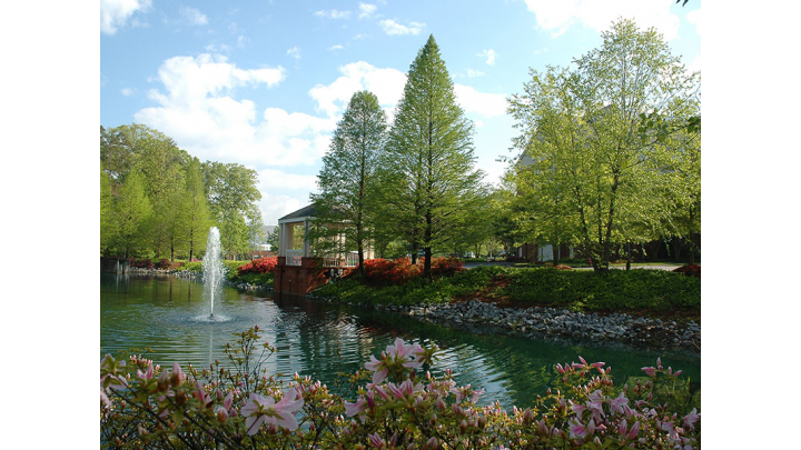Royal Oaks