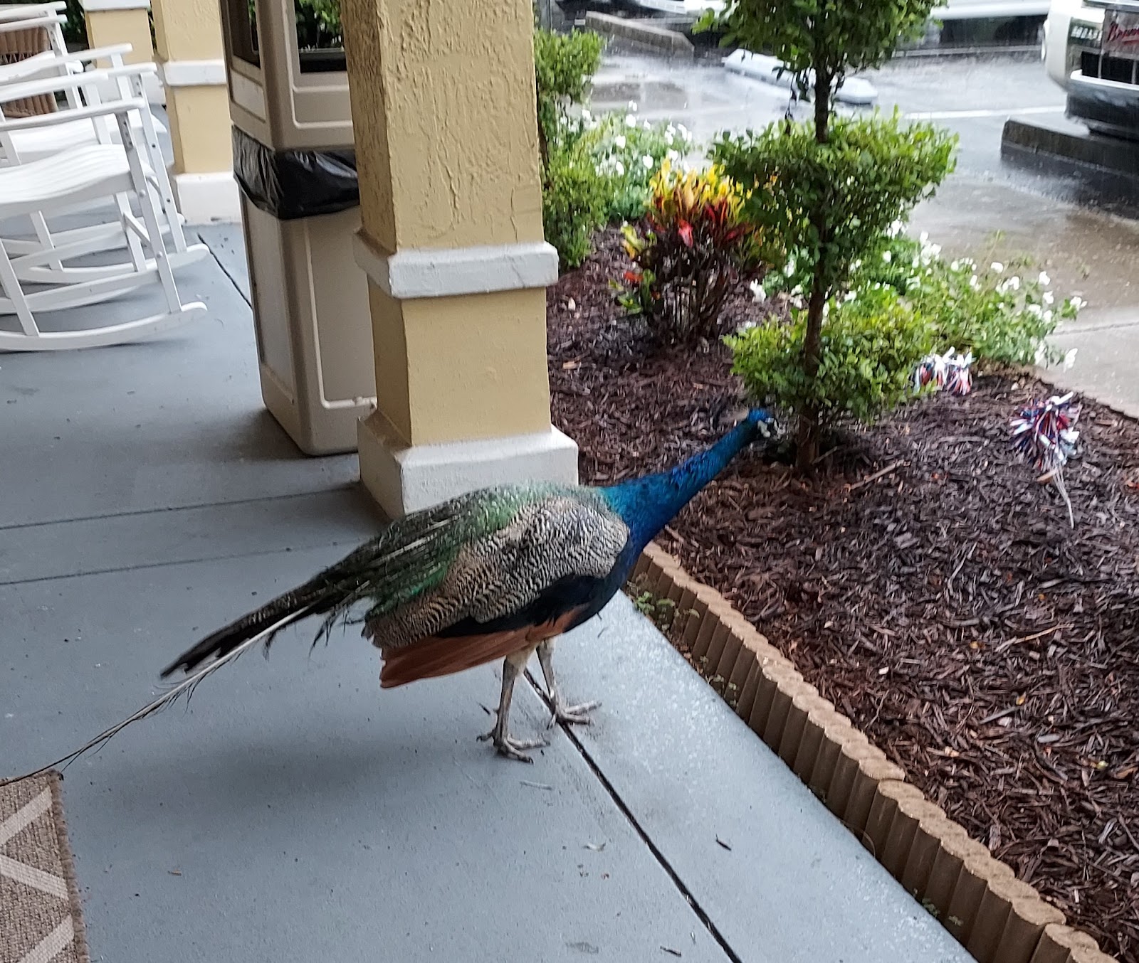 Brookdale DeLand