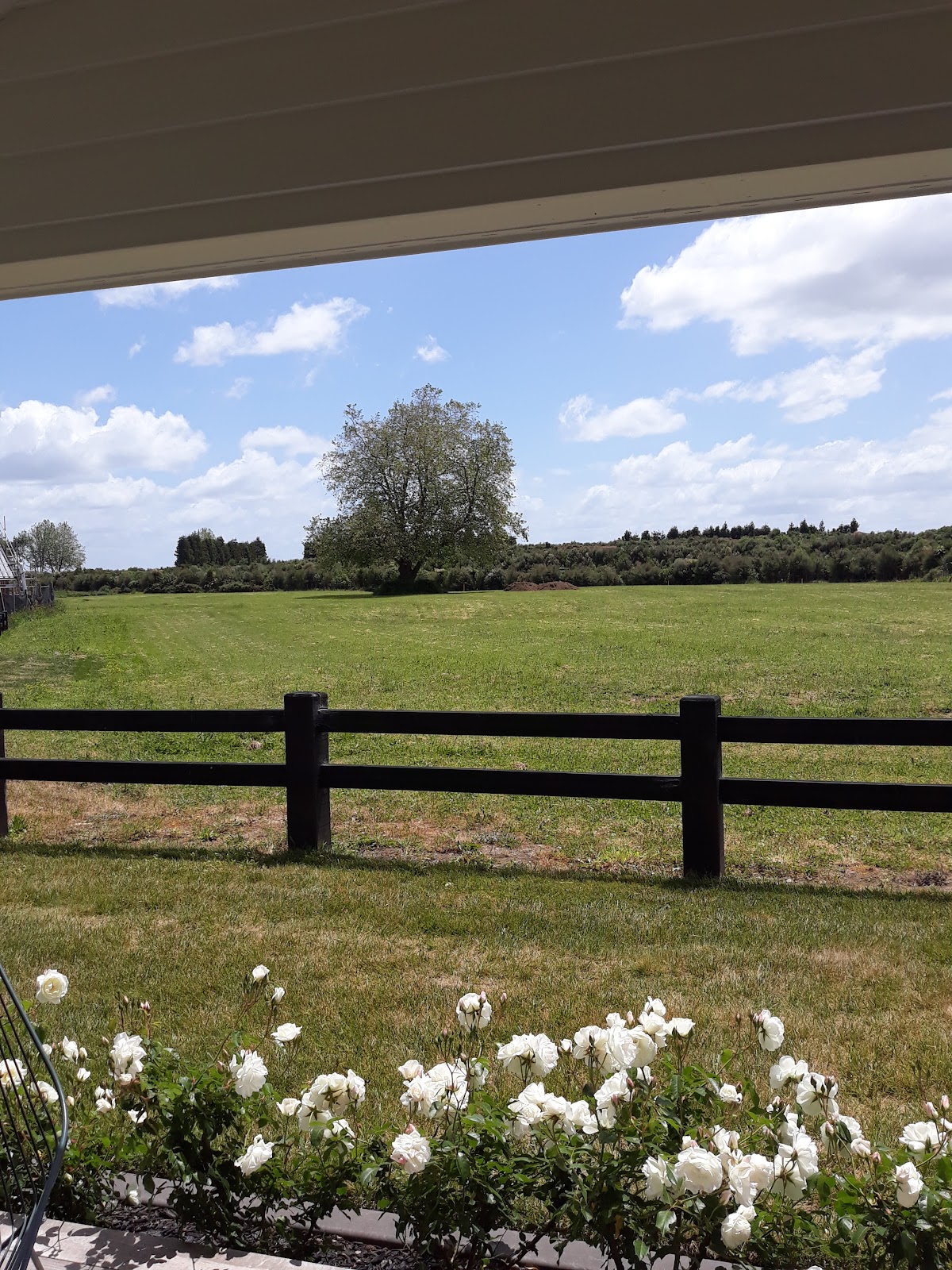 Cambridge Oaks - Freedom Lifestyle Village