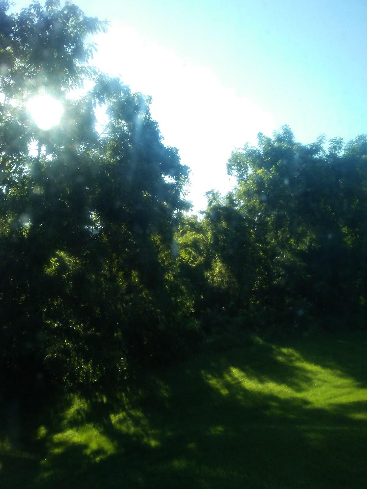 Marjorie Gardens
