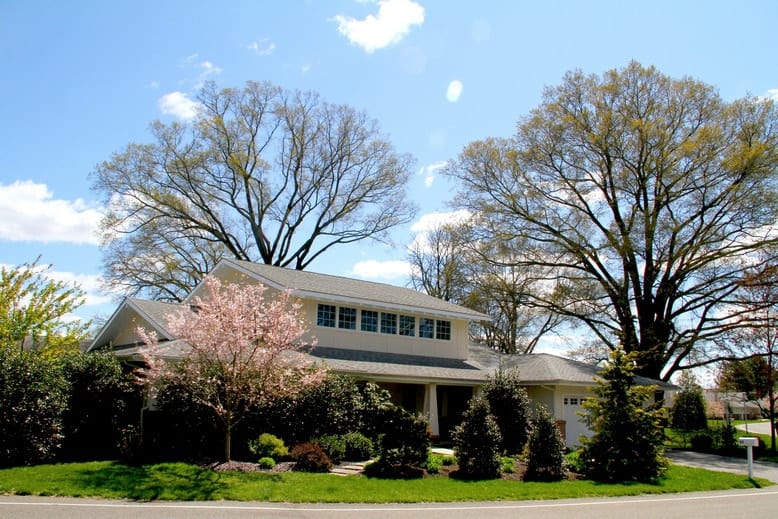 Meadow Lakes