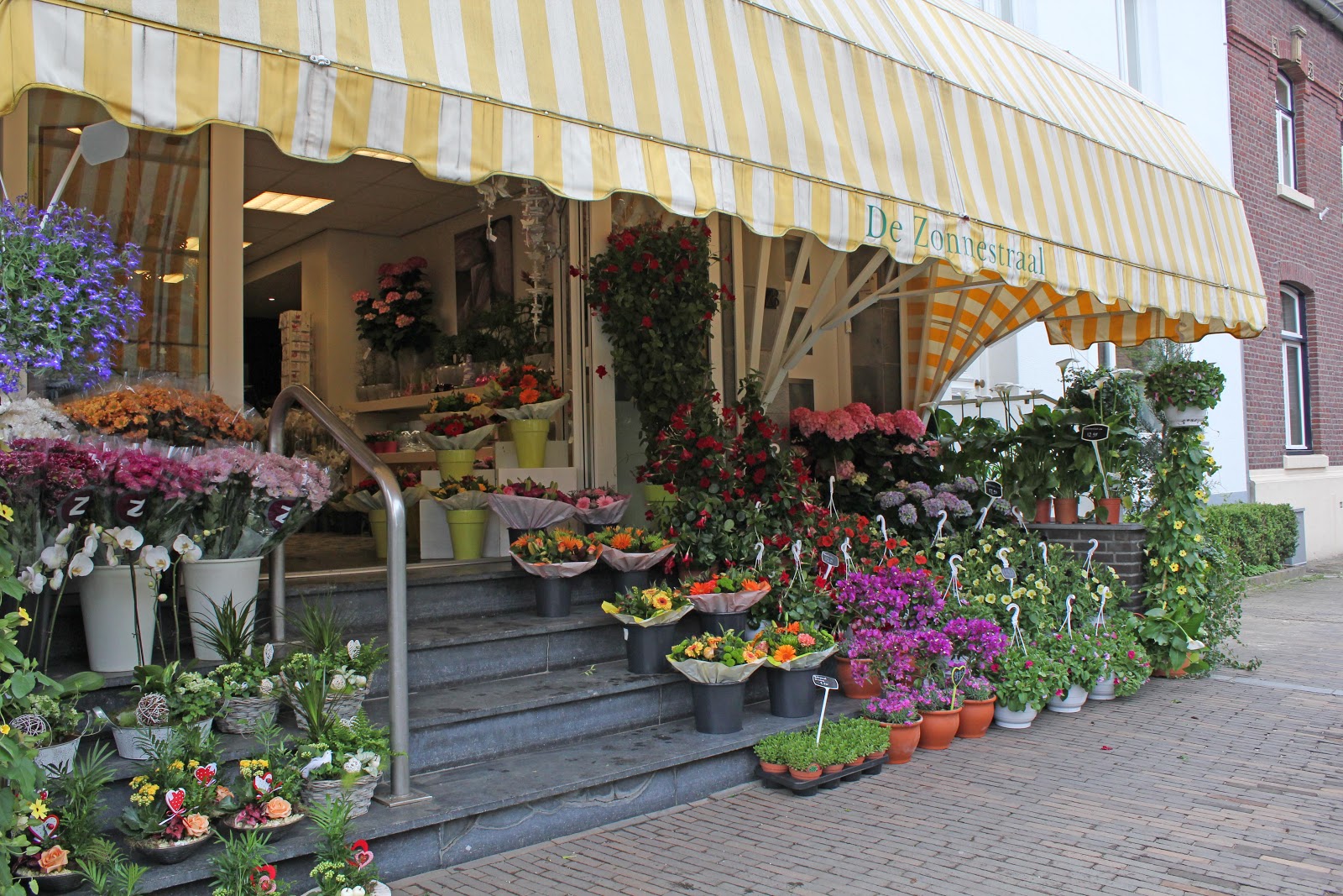 Bloemenhuis De Zonnestraal